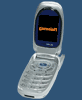 Samsung SCH-A670 games