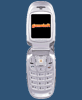 Samsung SGH-E317 games