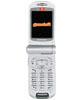 Samsung SGH-Z110 games