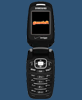 Samsung SCH-A870 games