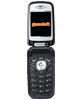 Samsung SGH-Z310 games