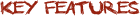 Key Features