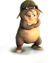 squirrel