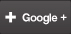 Google +